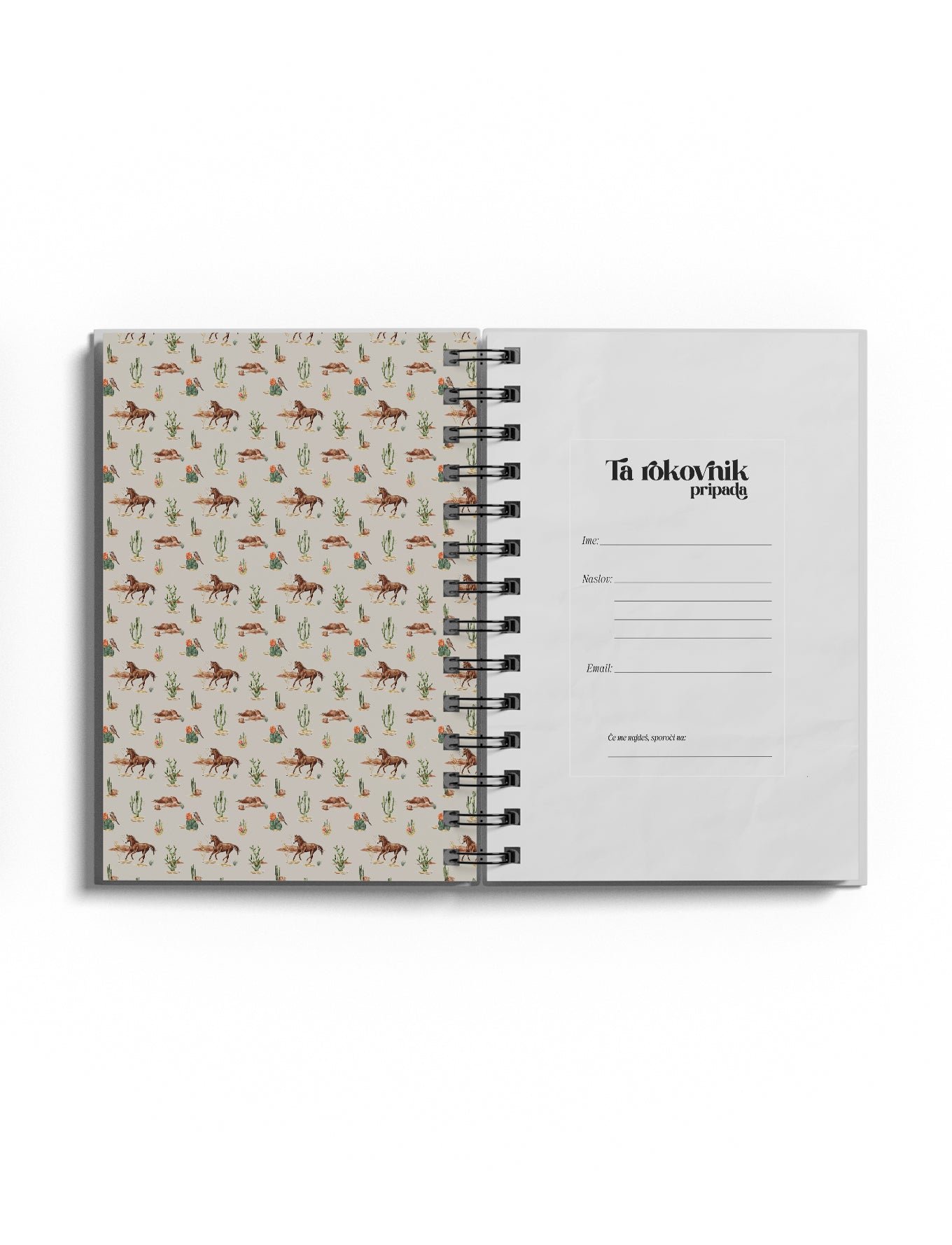 DARILNI SET "KAKTUS"